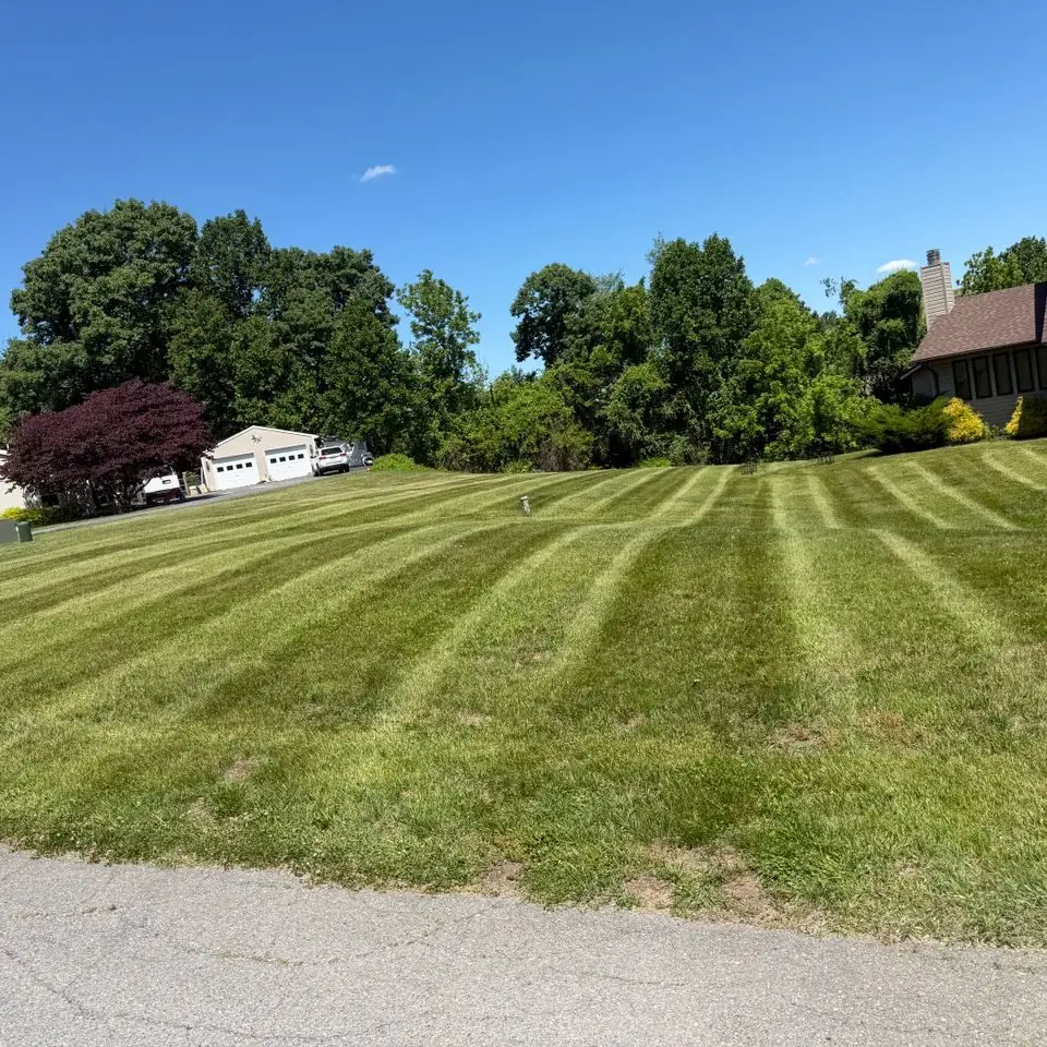 Freshly mowed striped lawn